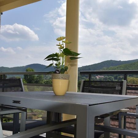 Le Brin D'Osier Lägenhet Kaysersberg-Vignoble Exteriör bild