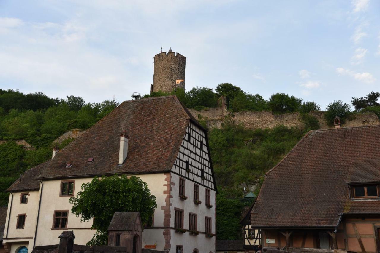 Le Brin D'Osier Lägenhet Kaysersberg-Vignoble Exteriör bild